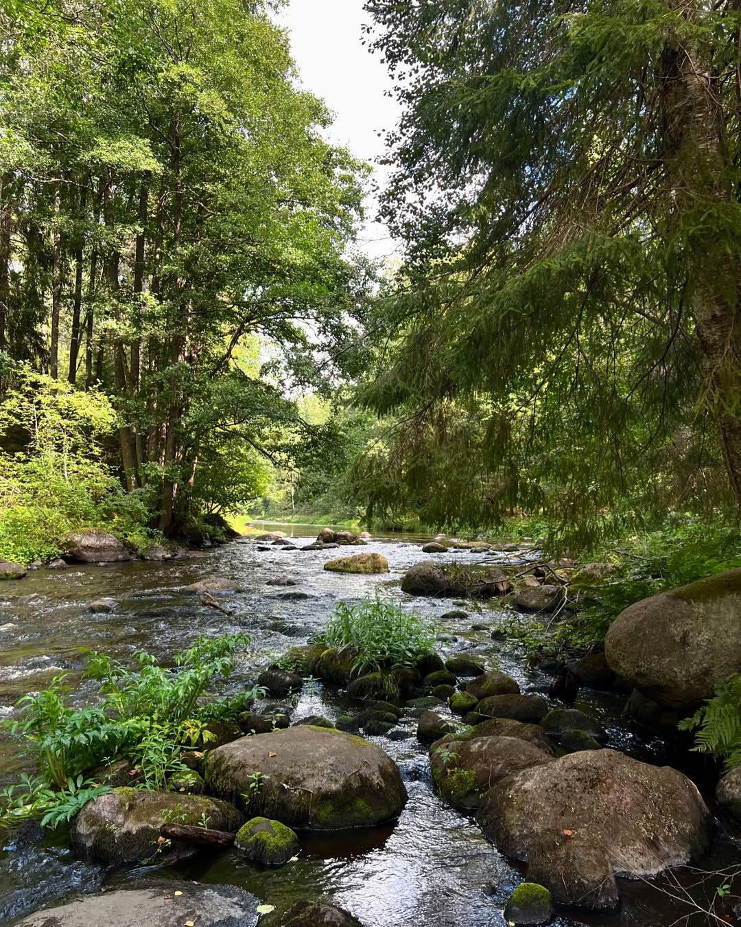 линдуловская роща